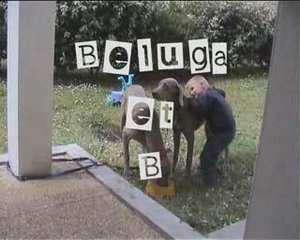 MES  ENFANTS  A 2 et 4 PATTES