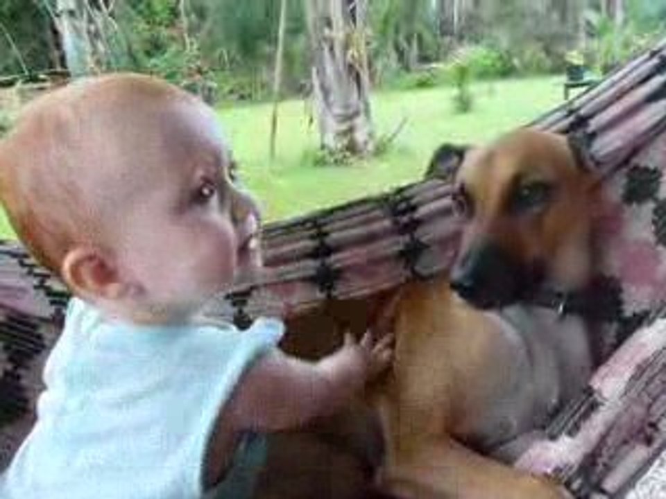 Le hamac en compagnie de mon chien