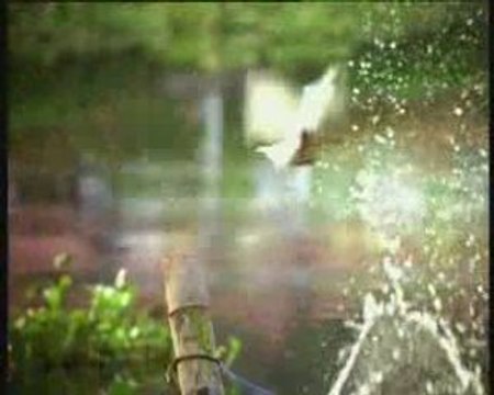 Kumarakom Vacation Hotel, Ayurveda Resorts & Villas In Ke...