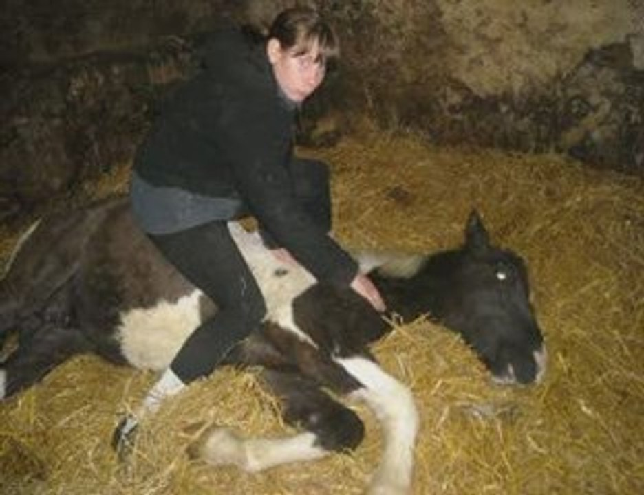 sun amusement et photos en vrac