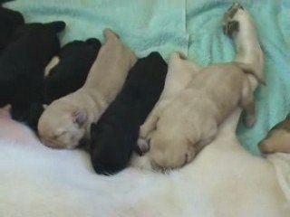 Kaly - Portée A - 11.04.2009_3