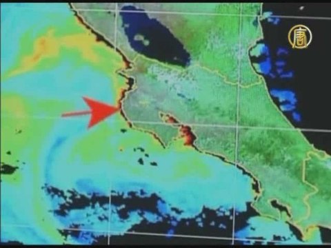 «Красный прилив» заполнил пляжи Коста-Рики мертвой рыбой