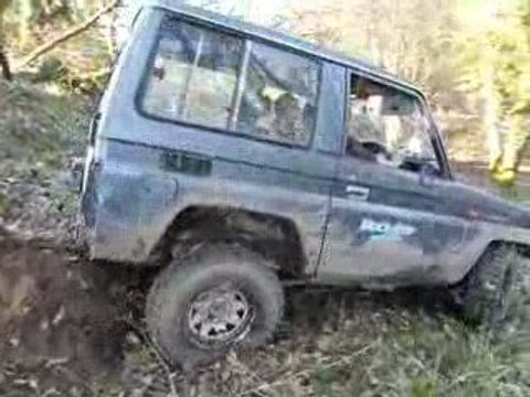 promenade en sous bois