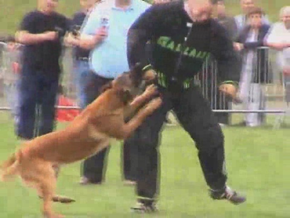 Baron selectifs 2009 groupe 1 Jury B