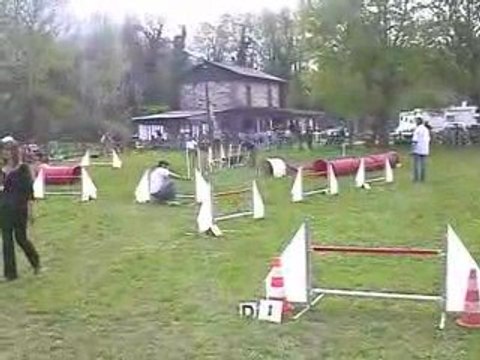 Aston Jumping Agility Voreppe 12/04/2009