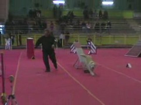 Salsa Open Agility Annonay 08/02/2009