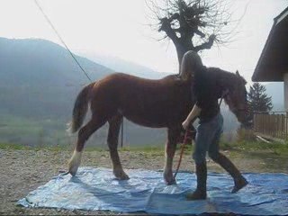 Séance de saut en longe_0001