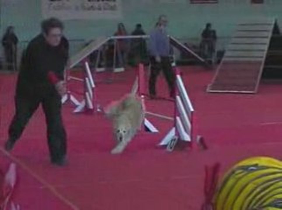 Salsa GPF Agility Annonay 08/02/2009