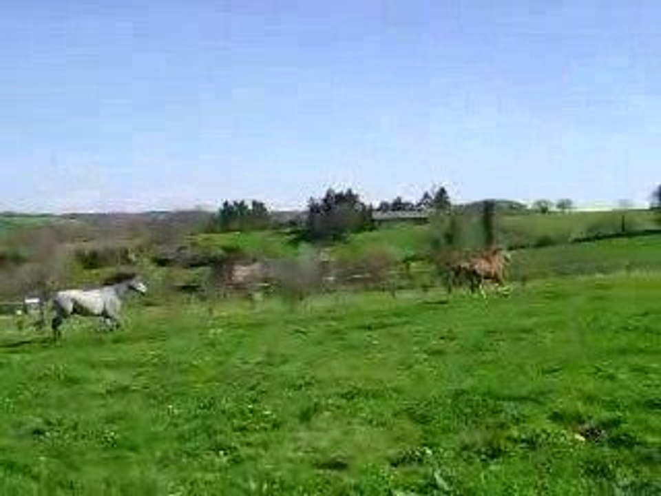 MOV02518