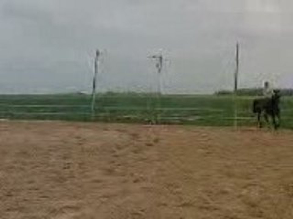 Oggi premier enchainement