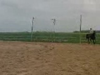 Oggi premier enchainement