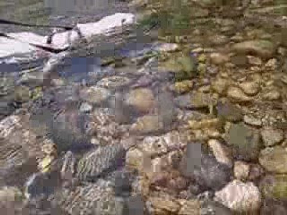 Baignade du Poy