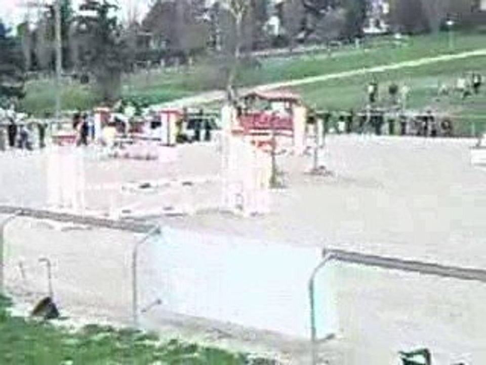 MPEG0004