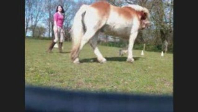 Seance jeu avec kenzo et magic