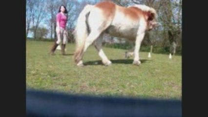 Seance jeu avec kenzo et magic