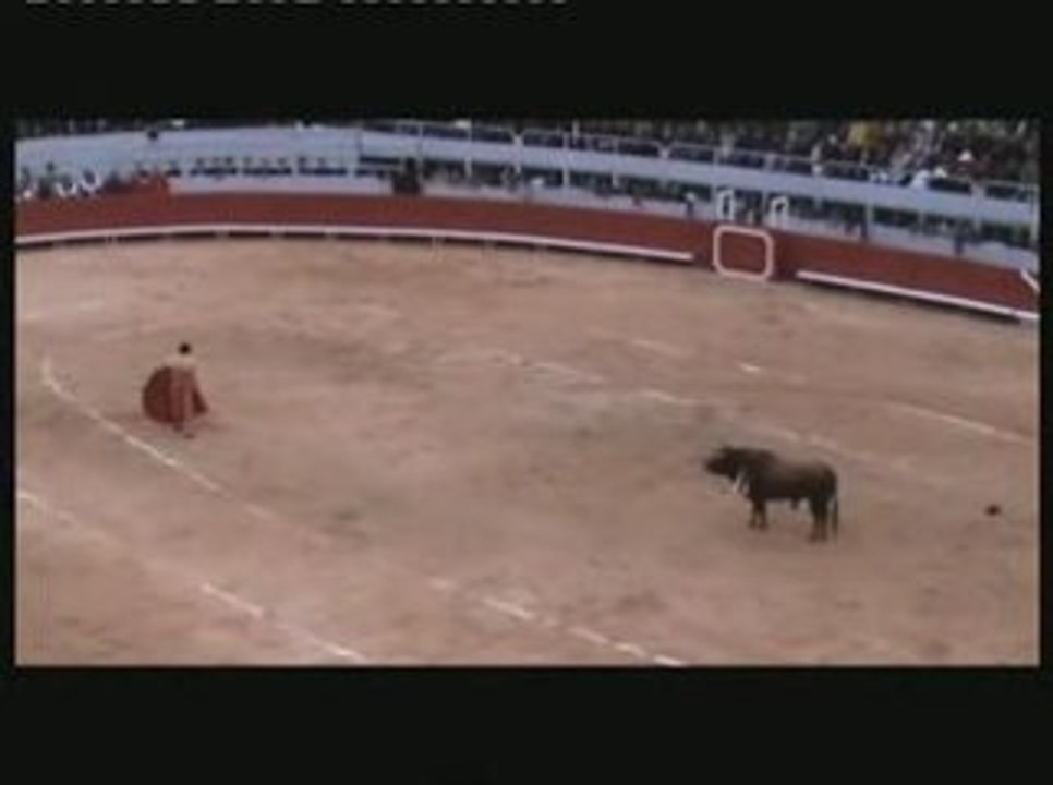 Arles 2009 : Sebastien Castella