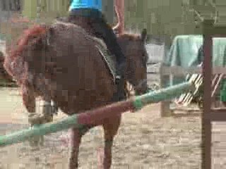 Cross plus ange Plat avril 032