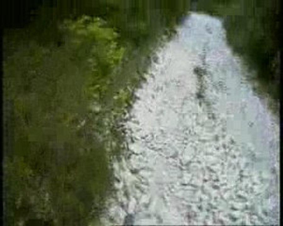 RUN & BIKE VTT