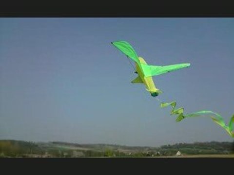 Big ali neon music cerf volant 1er de l'annee