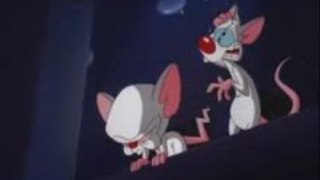 Pinky and The Brain - Hickory Dickory Bonk