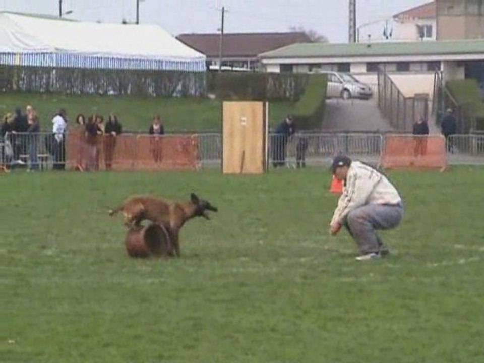 Aurane selectif GR1 Jury B