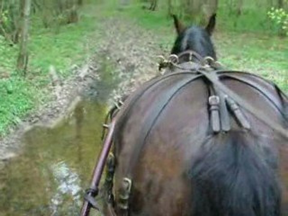 Attelage 20090413