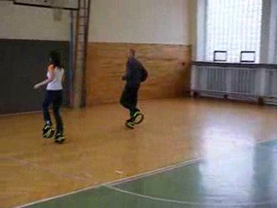 PO2B 0366 2008_12