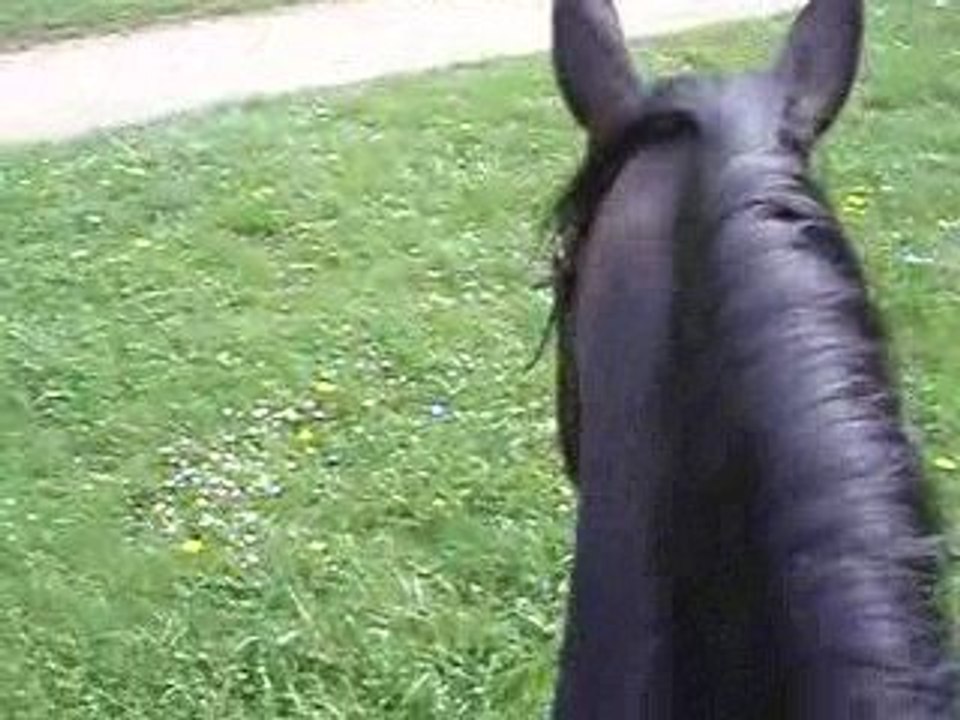 balade du 13 avril 09