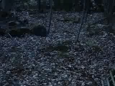 grenade d'airsoft maison