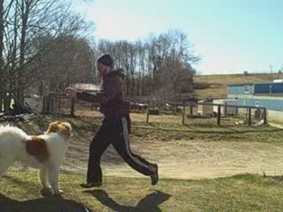 Bodyweight Training for Leg Strength