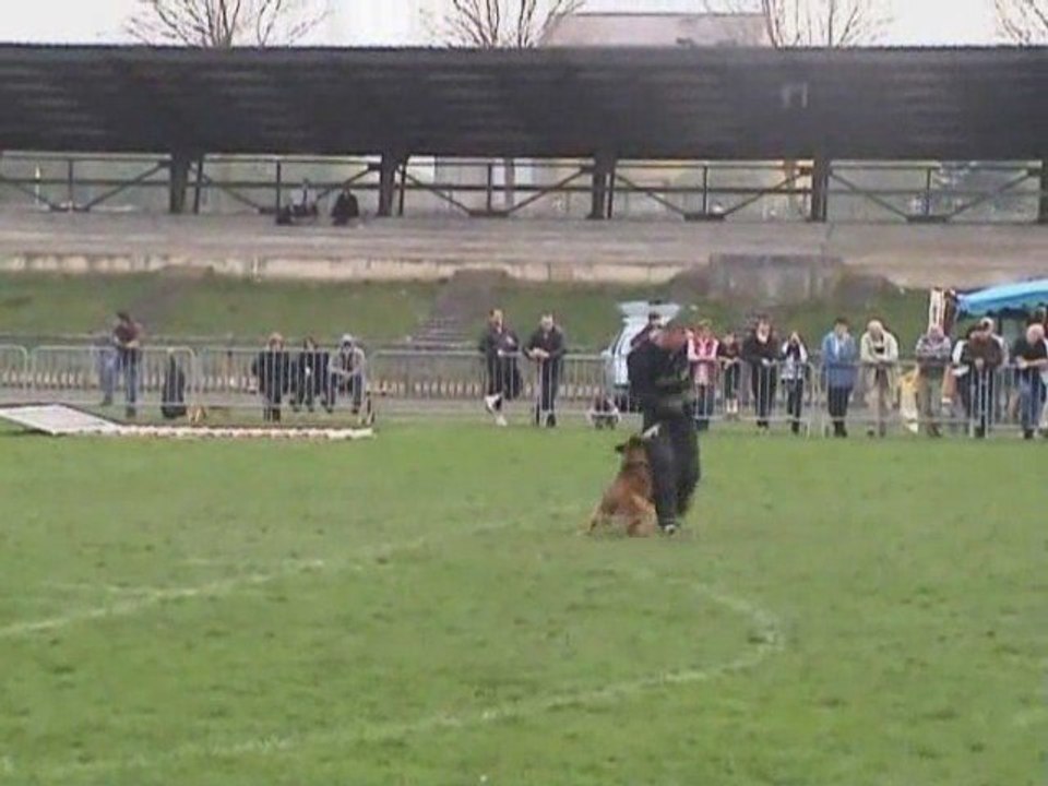 Benji selectifs Ring2009 Groupe 1 Jury B