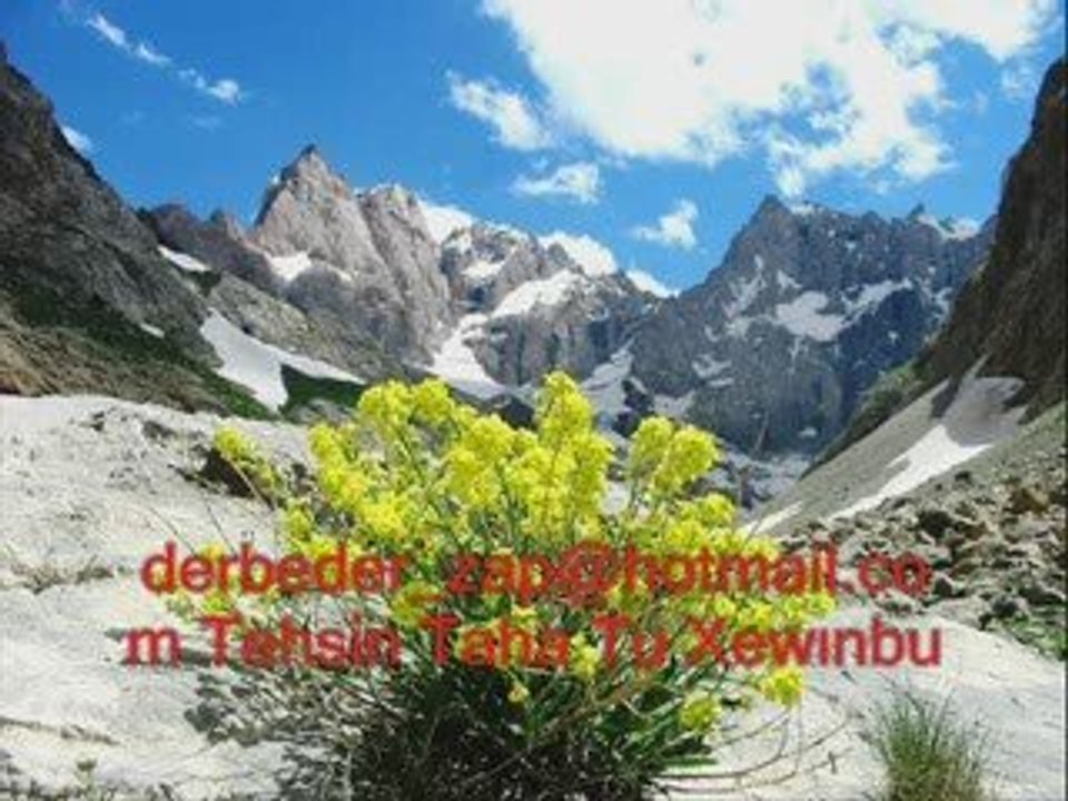 Tehsin taha tu xewınbu derbeder_zap tan