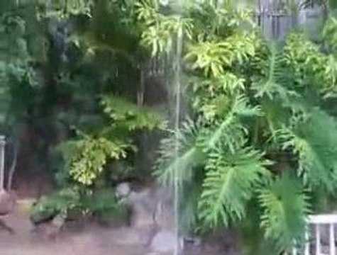 coolest guy on the planet