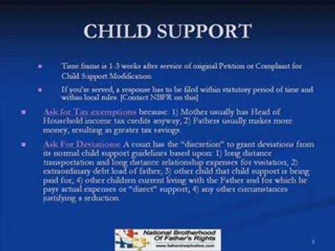Fathers Rights Protection System Gets Custody