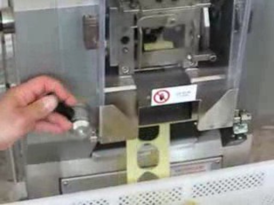 Automatic Filled Perogi & Pelmeni Machine