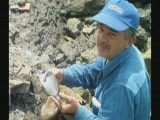 Türk Balık Avı 1.Kıyı Organizasyon Klibi