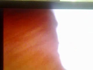 serpent dans les toilettes