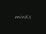 minKs-frag