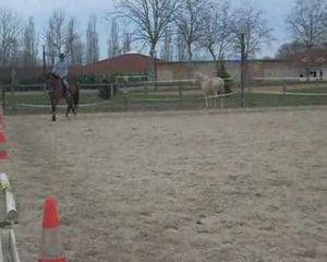 Marine et Fair reprise galop 6