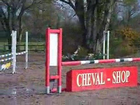 rnb royal cycles classiques 4ans D