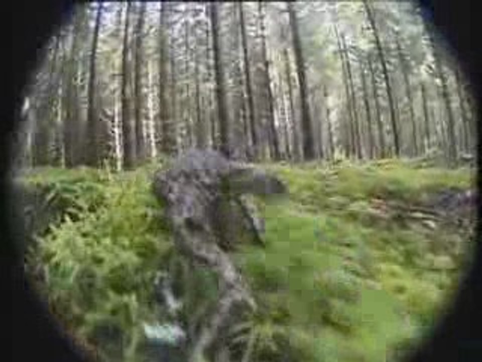 Crosspain