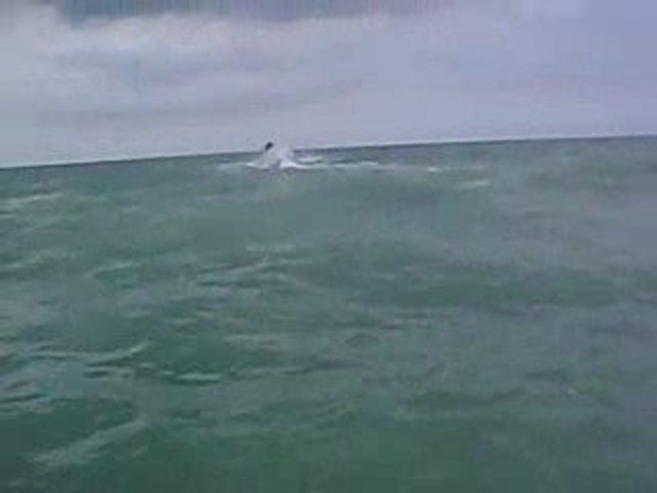 ARSOUILLE JUIN 2008 1