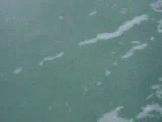 Arsouille avec Cedric, Guillaume, Titi, Philippe et Meroje4