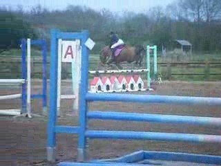 perle de loisel a vendre