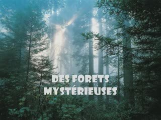 Lieux hante - apparitions