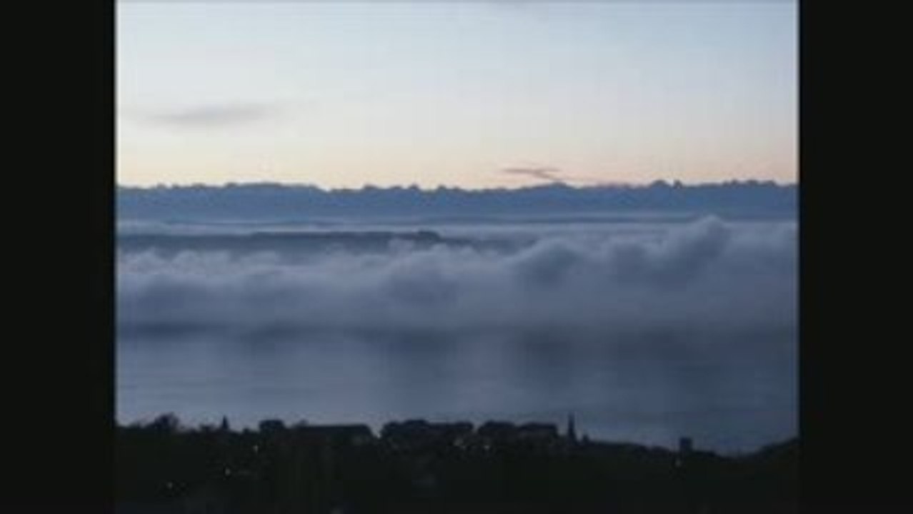 Chenane  kamel  ATHUZYINTH  (trahison