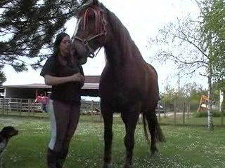 Début d'une Jambette?