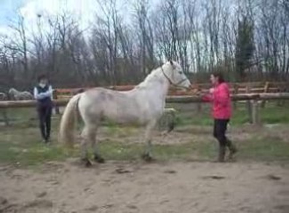 mistral 2008