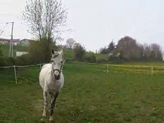 PASO 13AVRIL09 FAIT L ANDOUILLE ET  FAIT MAL TENDON PFFFF