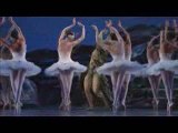 Swan Lake (Kuğu Gölü)